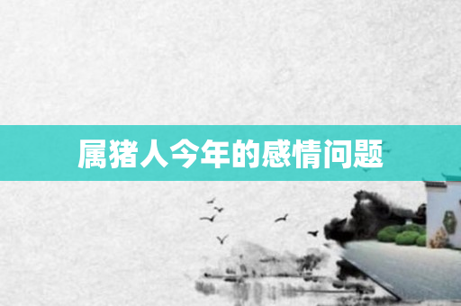 属猪人今年的感情问题