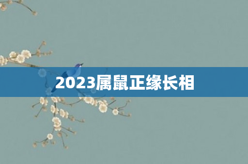 2023属鼠正缘长相