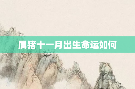 属猪十一月出生命运如何