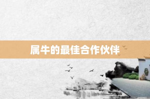 属牛的更佳合作伙伴