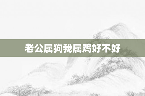 老公属狗我属鸡好不好
