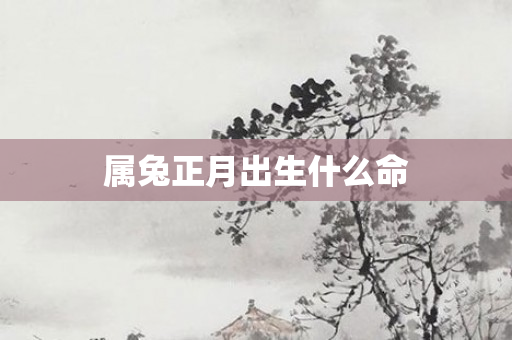 属兔正月出生什么命