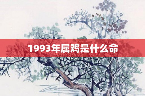 1993年属鸡是什么命
