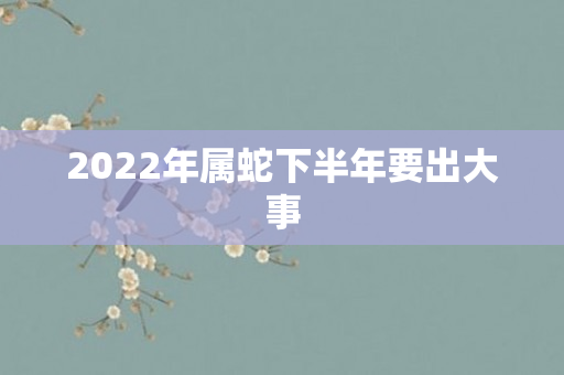 2022年属蛇下半年要出大事
