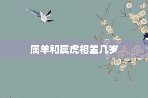 属羊和属虎相差几岁