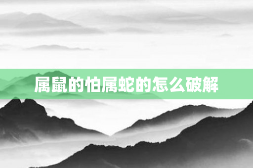 属鼠的怕属蛇的怎么破解