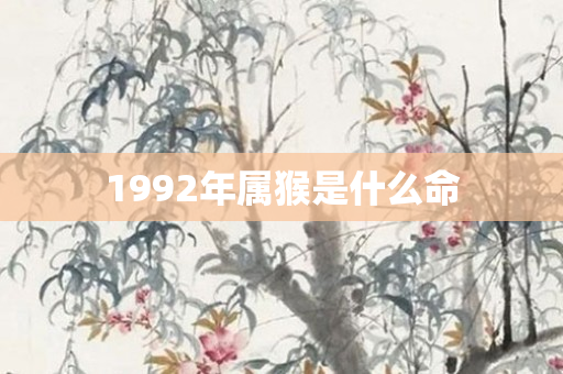1992年属猴是什么命
