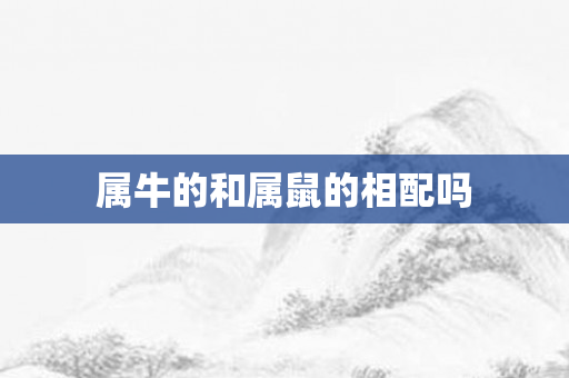 属牛的和属鼠的相配吗