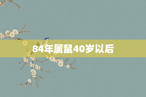 84年属鼠40岁以后