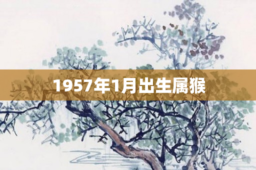1957年1月出生属猴