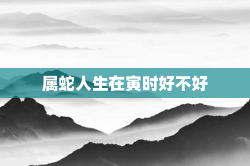 属蛇人生在寅时好不好