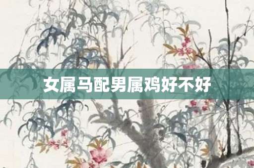 女属马配男属鸡好不好