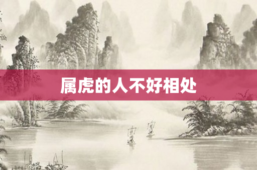 属虎的人不好相处