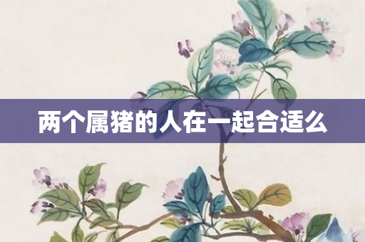 两个属猪的人在一起合适么