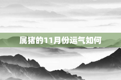 属猪的11月份运气如何