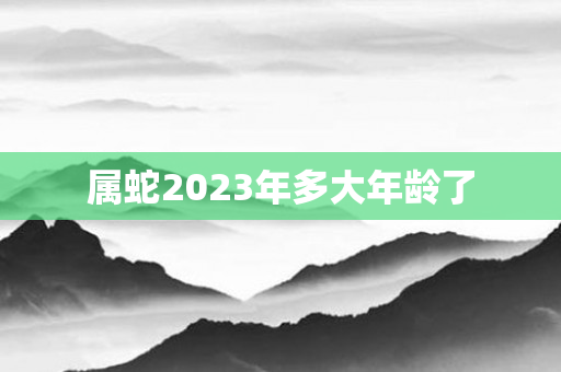 属蛇2023年多大年龄了