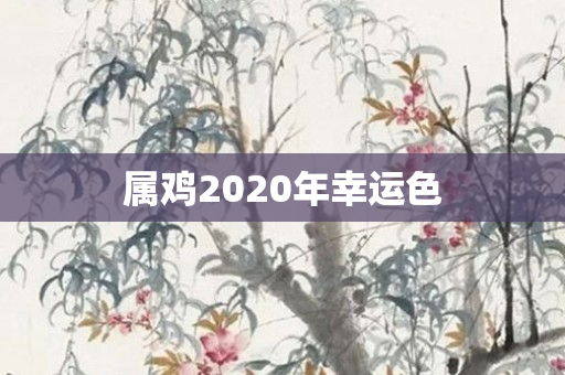 属鸡2020年幸运色