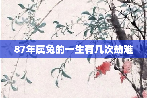 87年属兔的一生有几次劫难