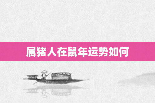 属猪人在鼠年运势如何