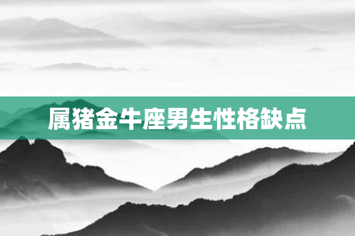 属猪金牛座男生性格缺点