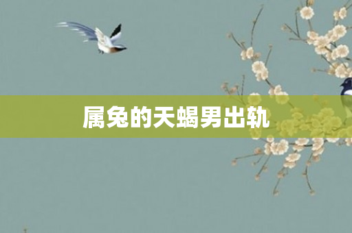 属兔的天蝎男出轨