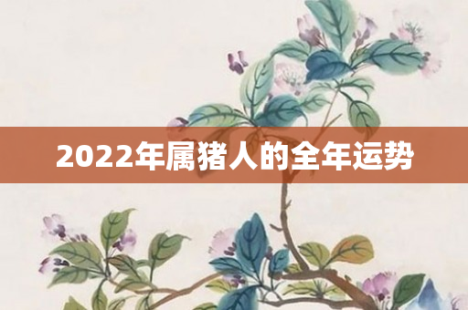 2022年属猪人的全年运势