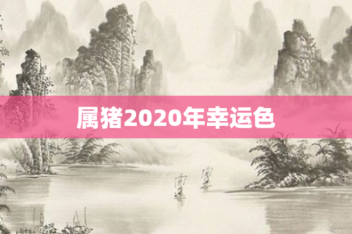 属猪2020年幸运色