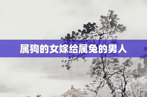 属狗的女嫁给属兔的男人