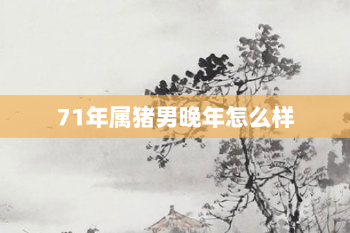 71年属猪男晚年怎么样