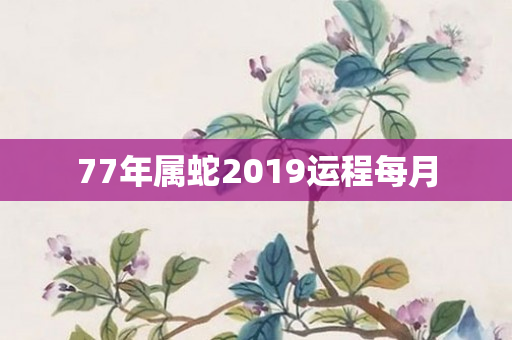 77年属蛇2019运程每月