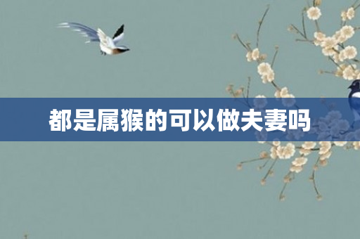 都是属猴的可以做夫妻吗
