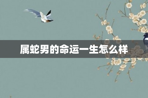 属蛇男的命运一生怎么样