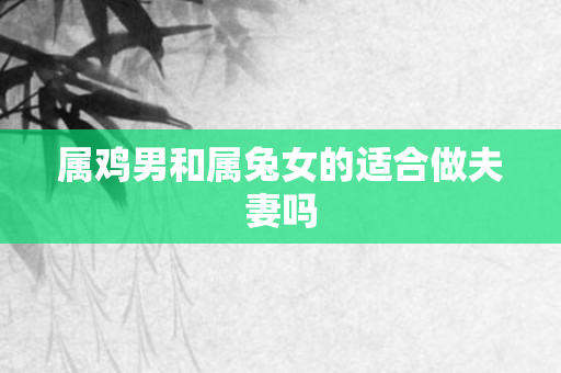 属鸡男和属兔女的适合做夫妻吗