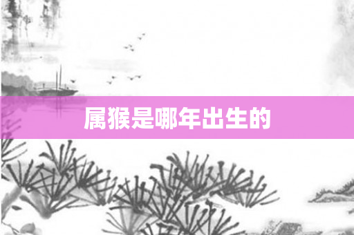 属猴是哪年出生的