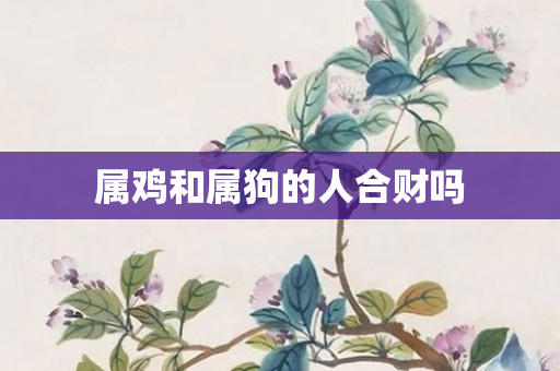 属鸡和属狗的人合财吗