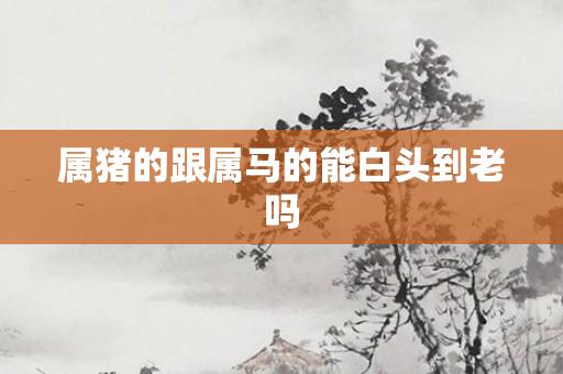 属猪的跟属马的能白头到老吗
