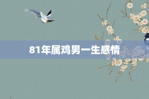 81年属鸡男一生感情