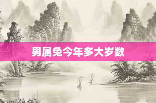男属兔今年多大岁数