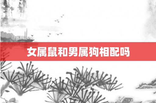 女属鼠和男属狗相配吗