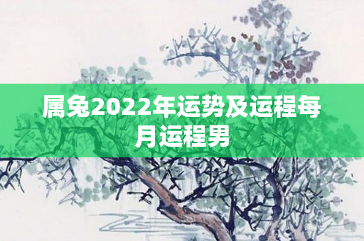 属兔2022年运势及运程每月运程男