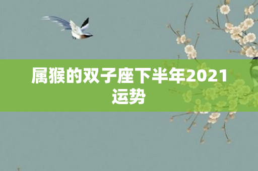 属猴的双子座下半年2021运势