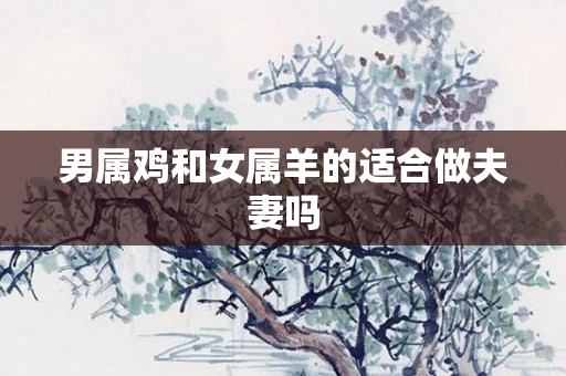 男属鸡和女属羊的适合做夫妻吗