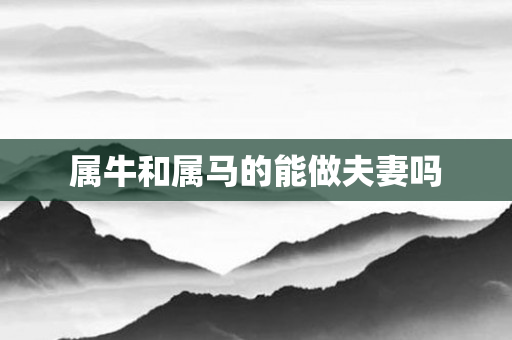 属牛和属马的能做夫妻吗