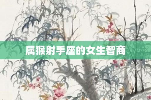 属猴射手座的女生智商