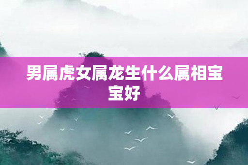 男属虎女属龙生什么属相宝宝好
