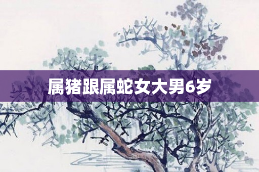属猪跟属蛇女大男6岁
