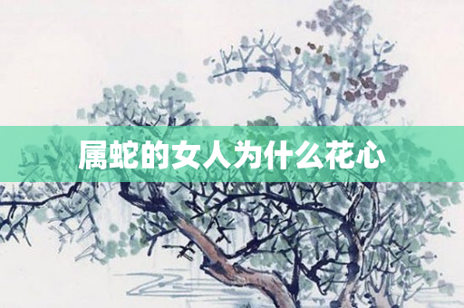 属蛇的女人为什么花心