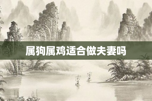 属狗属鸡适合做夫妻吗