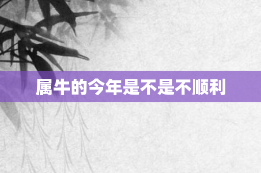 属牛的今年是不是不顺利