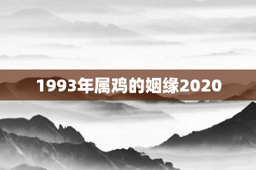 1993年属鸡的姻缘2020